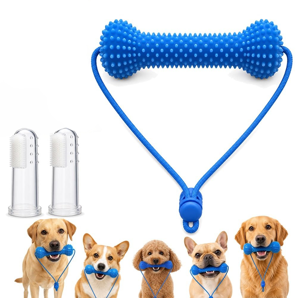 Dual-Action Canine Dental Prop, Bite And Brush Dental Toy For Dogs, Teeth Cleaning Fresh Dog Tartar And Plaque Remover, Woof Tooth Hard Off, Brushing Toothbrush Tools Care Chew Toys 1PC